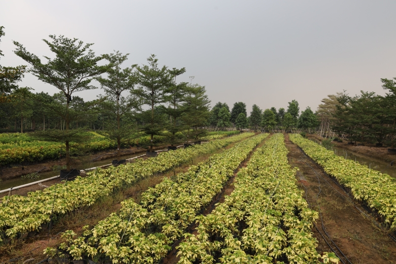 2014_China_Nursery