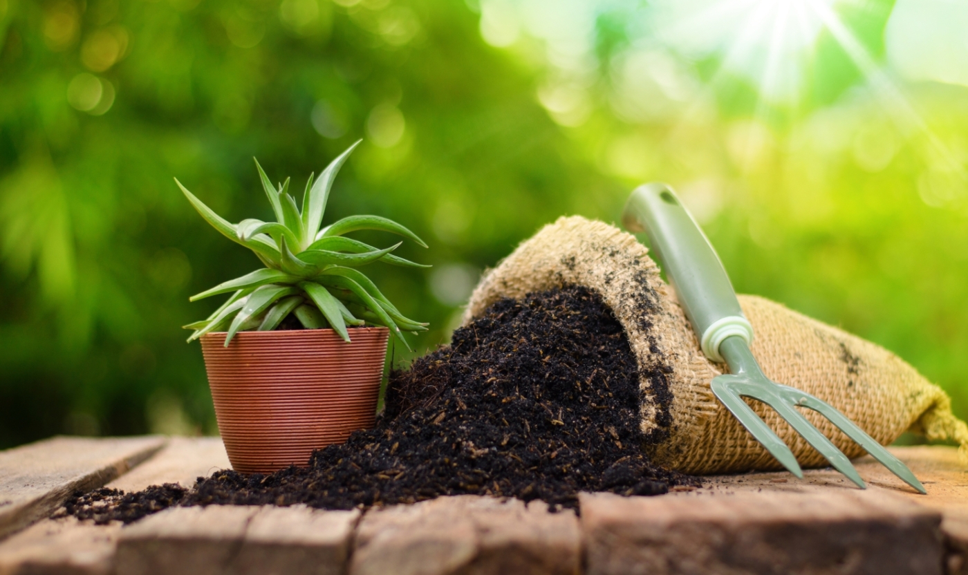 Fertilizer-and-plant