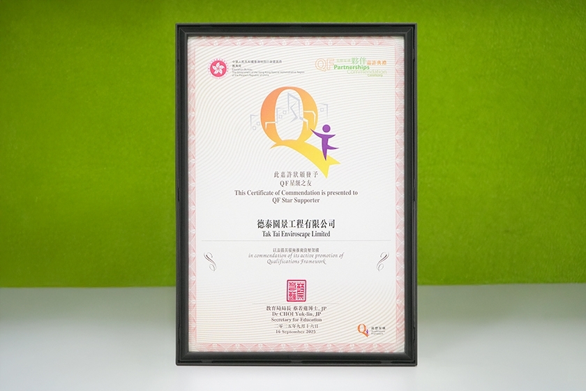 202511_QF_Star_Supporter_TakTai