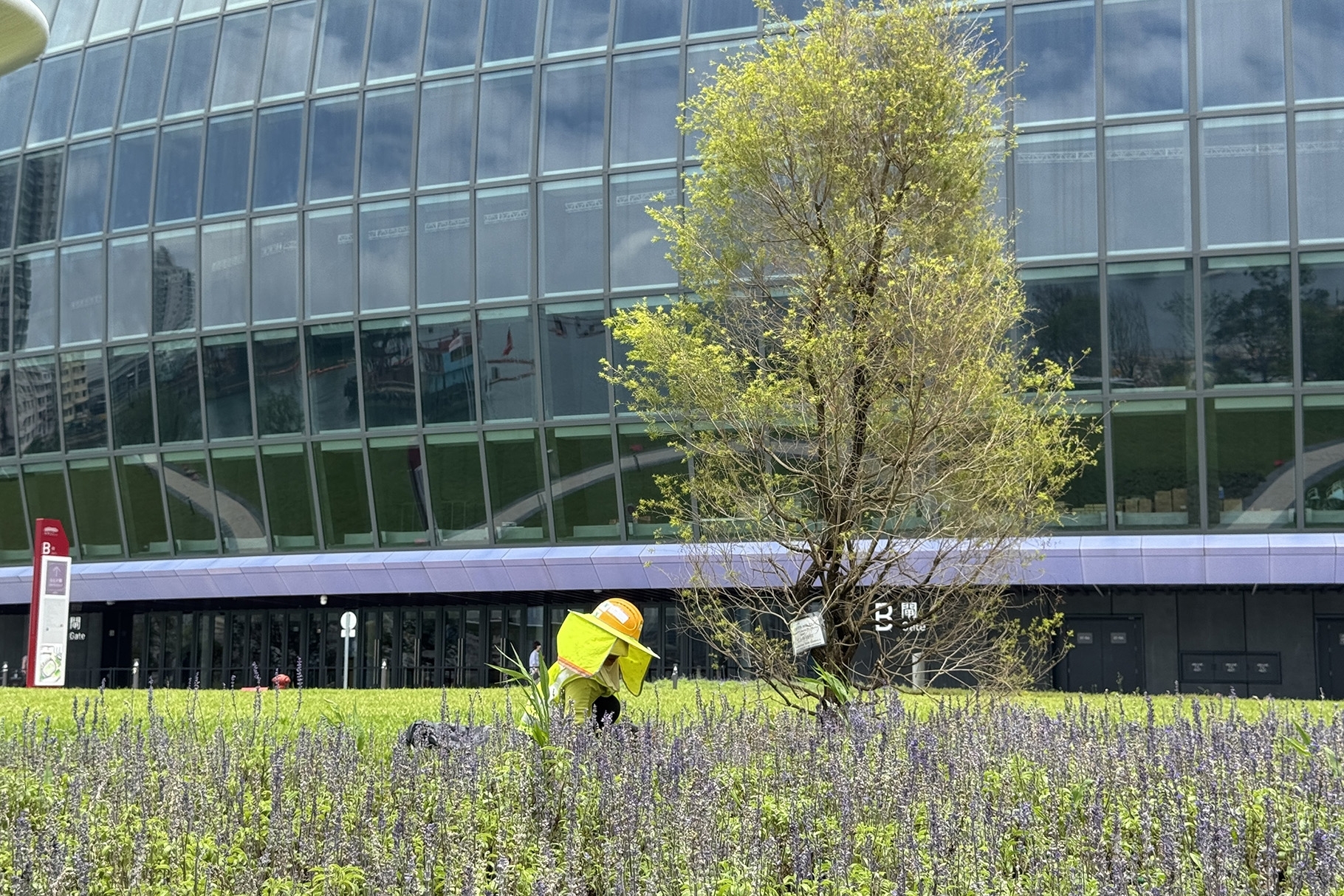 全運會4_1820x1214px