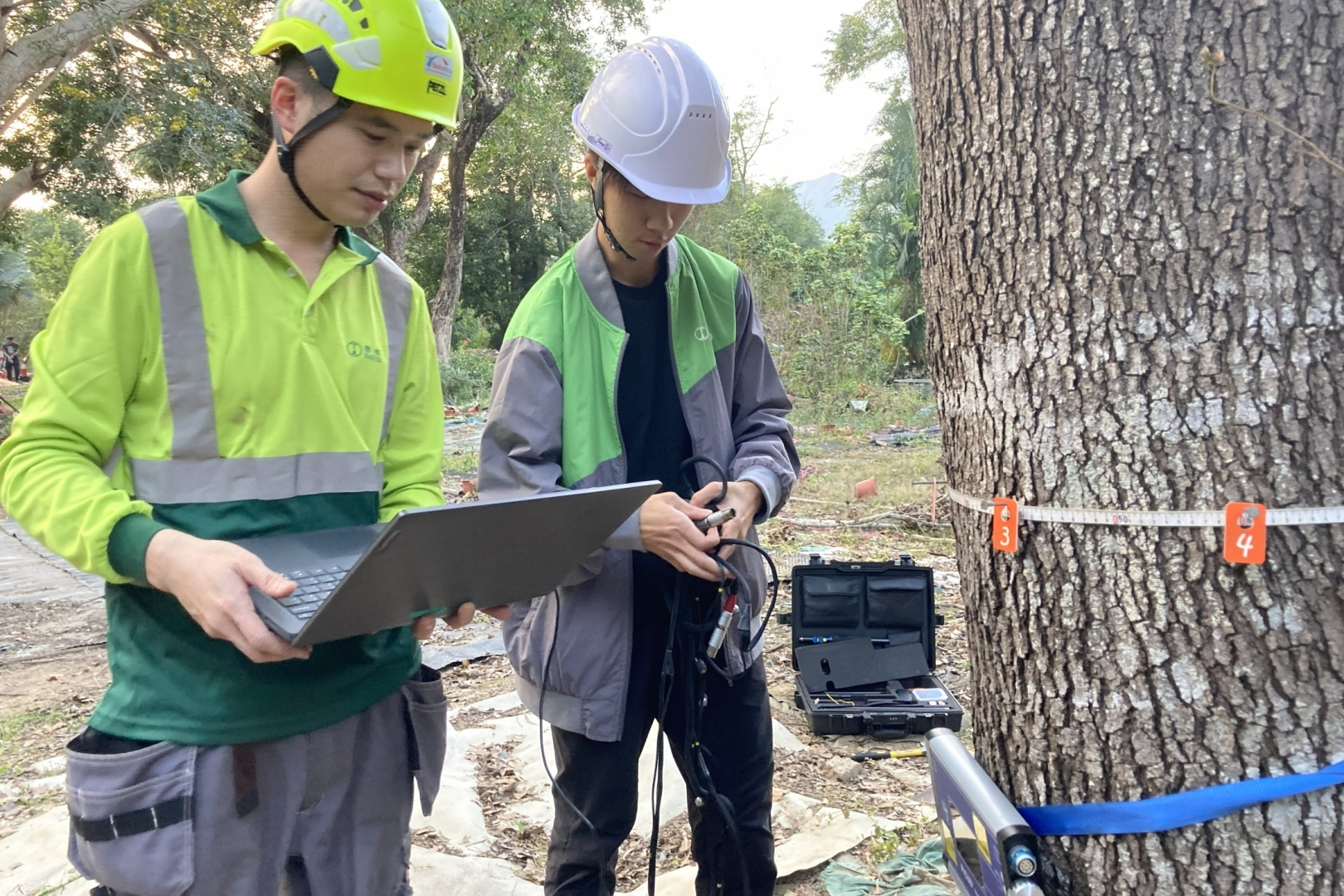 20231201_Tree_Survey_Sonic_tree_tomography